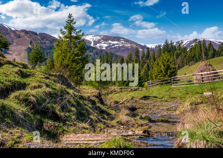 Beaux paysages montagneux au printemps. arbres et barrière en bois sur la colline près du petit ruisseau. forêt de sapins au pied de la montagne de ri Banque D'Images