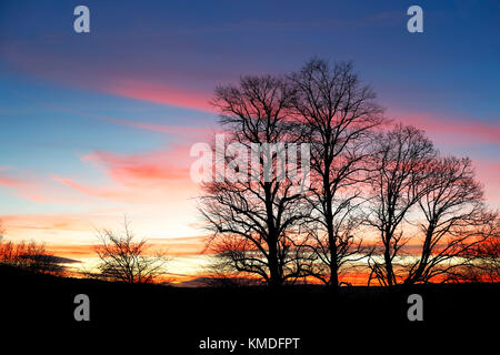 Silhouettes d'arbres au coucher du soleil sur Otley avec ciel montrant de belles couleurs rouges et bleues Banque D'Images