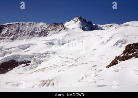 La crête de Kranzberg et le Gletscherhorn de l'autre côté du glacier Jungfraufirn, Jungfraujoch, Alpes bernoises, Suisse Banque D'Images