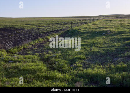 Les verts pâturages verdoyants avec une clôture en fil barbelé dans la distance de recul dans la lumière du soir dans un paysage agricole rural Kansas Banque D'Images