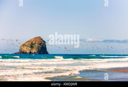 A Flock of seagulls voler au-dessus du surf sur la plage de pacific city sur la côte de l'oregon. haystack rock se trouve dans l'arrière-plan entouré par la mer. Banque D'Images