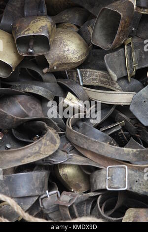 Cloches des vaches à almabtrieb Banque D'Images