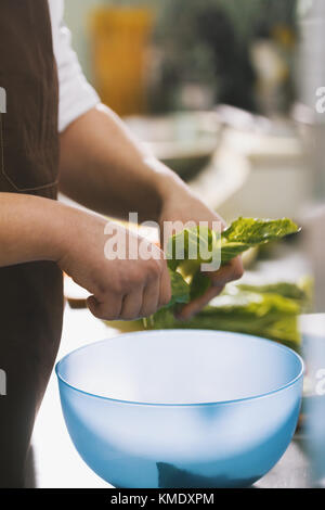 Male chef déchirer les feuilles de salade en cuisine commerciale Banque D'Images