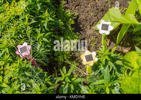 Lanternes de jardin dans les fleurs, jardin design, lampe solaire. Banque D'Images