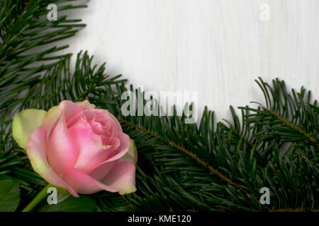 Une composition de Noël avec des branches de sapin et de rose rose, demi cadre sur un fond de bois blanc Banque D'Images