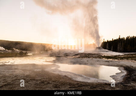 Le lion geyser éclate au coucher du soleil en face de la piscine du printemps coeur dans le coin supérieur geyser basin dans le parc national de Yellowstone, le 24 juin 2017 dans le Wyoming. (Photo de jacob w. Frank via planetpix) Banque D'Images