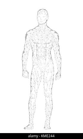 Corps humain sain forte article modèle 3d design poly faible. android robot humanoid homme parfait optimal fitness sport forme géométriques polygonales. particules en ligne point gris blanc vector illustration Illustration de Vecteur