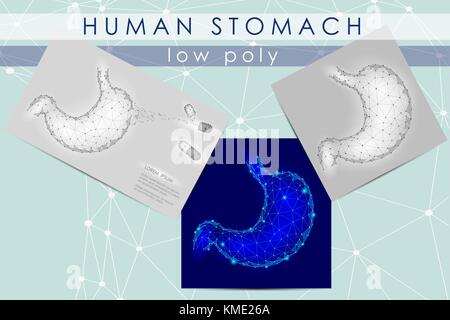 Les droits de l'estomac. saine digestion interne organe. low poly triangle points connecté la technologie future définition vector illustration médecine Illustration de Vecteur