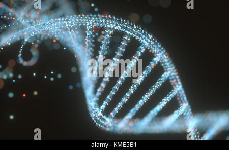 3D illustration. Molécule d'ADN coloré. Notion de droit d'une structure du code génétique. Banque D'Images
