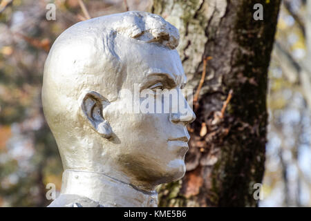 Le visage de l'homme en pierre. Le béton buste soldat couvert de peinture. Banque D'Images