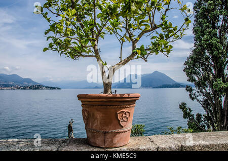 Isola Bella un trésor naturel fait de plus en plus riches en intervention humaine ; il a toujours été l'un des préféré des parcs d'attractions du Lac Majeur Banque D'Images