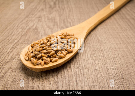 Triticum aestivum est nom scientifique de blé céréale. Également connu sous le nom de trigo (portugais et espagnol). cuillère et céréales sur table en bois. Banque D'Images