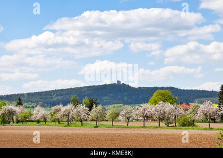 Hrad Radyne, obec Stahlavy, Plzensky kraj, Ceska republika / ruines du château de Radyne près de Pilsen, république Tchèque Banque D'Images