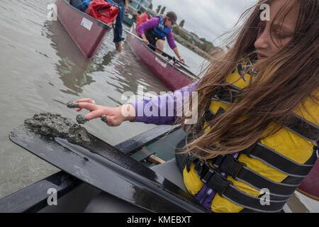 Canoes in Sloughs programme d'éducation environnementale par le biais de l'Institut des sciences marines, Redwood City, CA.la classe de sixième année était de JLS Middle School à Palo Alto. Banque D'Images