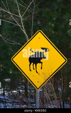 Montagnes Adirondack, NY le panneau de signalisation de passage à niveau d'avertissement de l'orignal dans le désert. Banque D'Images