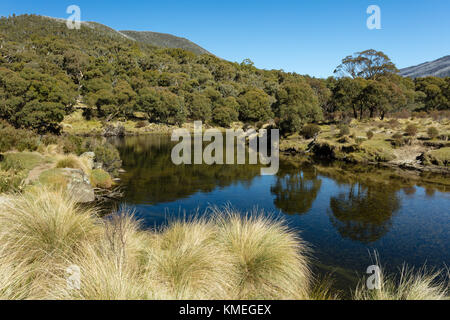 La rivière à Thredbo mottes Thredbo Département de parc national dans les montagnes de neige dans le sud de la Nouvelle-Galles du Sud. Banque D'Images