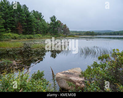 Trou sorcière étang, l'Acadia National Park, Maine. Banque D'Images