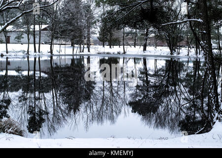 Photo de neige landscpae de pins et d'un étang Banque D'Images