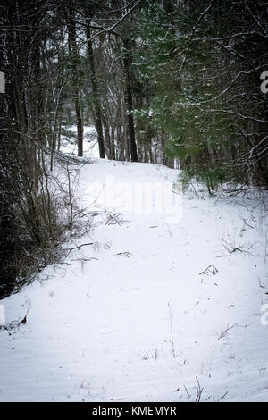 Photo de neige landscpae de pins et d'un étang Banque D'Images