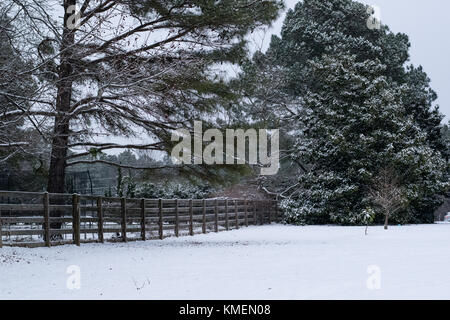 Photo de neige landscpae de pins et d'un étang Banque D'Images