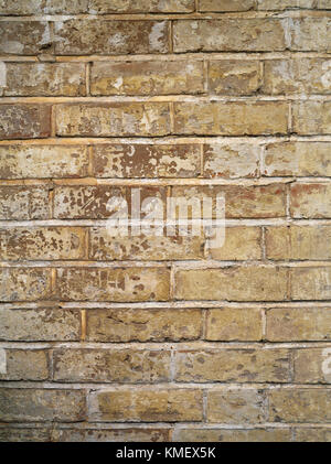 Face au sud de l'intérieur serre victorienne mur arrière. Sussex en brique rouge d'obligations avec restes de peinture blanche d'origine utilisé pour refléter la lumière. Banque D'Images