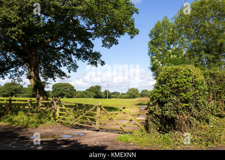 Vue sur la campagne au cours de clôture dans le Cheshire UK Banque D'Images