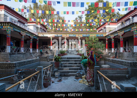 Plusieurs drapeaux de prière bouddhiste de haut vol à l'Institut Norbulingka près de Dharamsala, en Inde. Banque D'Images