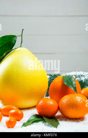 Les mandarines, oranges, pomelo, kumquat, kinkan avec feuilles sur neige blanche. agrumes mûrs. fond symbole du nouvel an et de noël Banque D'Images