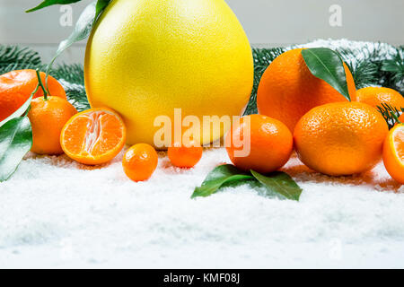 Les mandarines, oranges, pomelo, kumquat, kinkan avec feuilles sur neige blanche. agrumes mûrs. fond symbole du nouvel an et de noël Banque D'Images