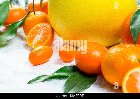 Les mandarines, oranges, pomelo, kumquat, kinkan avec feuilles sur neige blanche. agrumes mûrs. fond symbole du nouvel an et de noël Banque D'Images