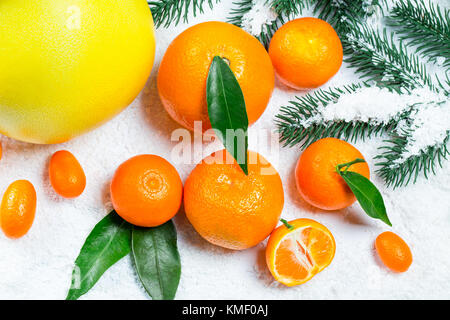 Les mandarines, oranges, pomelo, kumquat, kinkan avec feuilles sur neige blanche. agrumes mûrs. fond symbole du nouvel an et de noël Banque D'Images