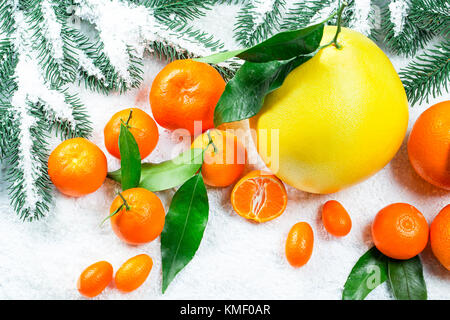 Les mandarines, oranges, pomelo, kumquat, kinkan avec feuilles sur neige blanche. agrumes mûrs. fond symbole du nouvel an et de noël Banque D'Images