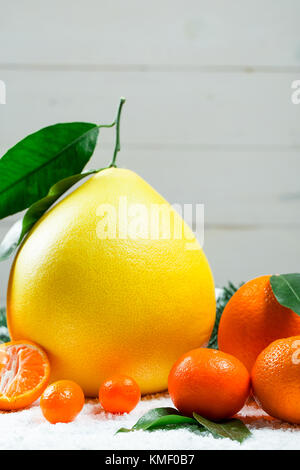 Les mandarines, oranges, pomelo, kumquat, kinkan avec feuilles sur neige blanche. agrumes mûrs. fond symbole du nouvel an et de noël Banque D'Images