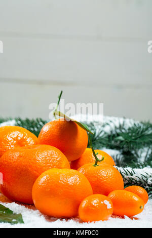 Les mandarines, oranges, pomelo, kumquat, kinkan avec feuilles sur neige blanche. agrumes mûrs. fond symbole du nouvel an et de noël Banque D'Images