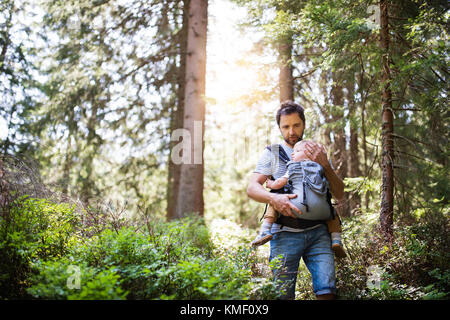 Jeune père avec petit garçon en forêt, journée d'été. Banque D'Images