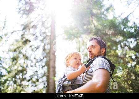 Jeune père avec petit garçon en forêt, journée d'été. Banque D'Images