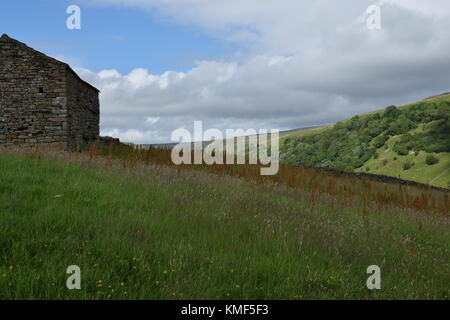 Vues de près de Angram entre Thwaite et Keld dans la région de Swaledale, Yorkshire du Nord, Yorkshire Dales, Richmondshire, Royaume-Uni. Tourisme Banque D'Images