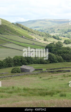 Vues de près de Angram entre Thwaite et Keld dans la région de Swaledale, Yorkshire du Nord, Yorkshire Dales, Richmondshire, Royaume-Uni. Tourisme Banque D'Images