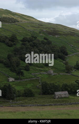 Vues de près de Angram entre Thwaite et Keld dans la région de Swaledale, Yorkshire du Nord, Yorkshire Dales, Richmondshire, Royaume-Uni. Tourisme Banque D'Images