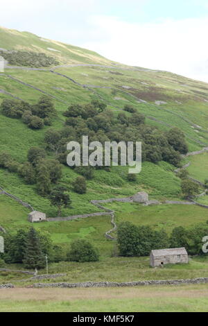 Vues de près de Angram entre Thwaite et Keld dans la région de Swaledale, Yorkshire du Nord, Yorkshire Dales, Richmondshire, Royaume-Uni. Tourisme Banque D'Images