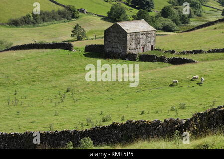 Vues de près de Angram entre Thwaite et Keld dans la région de Swaledale, Yorkshire du Nord, Yorkshire Dales, Richmondshire, Royaume-Uni. Tourisme Banque D'Images