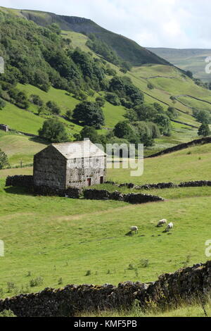 Vues de près de Angram entre Thwaite et Keld dans la région de Swaledale, Yorkshire du Nord, Yorkshire Dales, Richmondshire, Royaume-Uni. Tourisme Banque D'Images