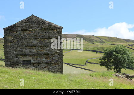 Vues de près de Angram entre Thwaite et Keld dans la région de Swaledale, Yorkshire du Nord, Yorkshire Dales, Richmondshire, Royaume-Uni. Tourisme Banque D'Images