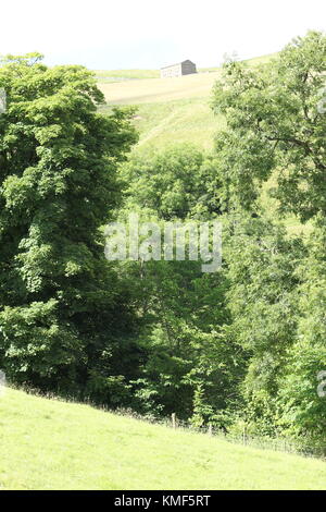 Vues de près de Angram entre Thwaite et Keld dans la région de Swaledale, Yorkshire du Nord, Yorkshire Dales, Richmondshire, Royaume-Uni. Tourisme Banque D'Images