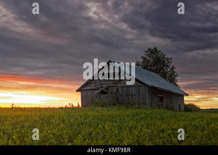 Une vieille grange abandonnée house est seul sur le champs d'été du nord de la Finlande. L'été coucher du soleil crée un contexte dramatique pour la scène. Banque D'Images