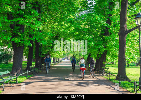 Parc de vélo pour les personnes , sur un tour ensoleillé des cyclistes matinaux à travers Planty Park dans le centre de Cracovie, Pologne, Europe Banque D'Images