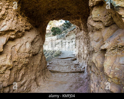 Tunnel le long Bright Angel Trail au grand canyon Banque D'Images