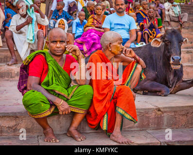 Aarti cérémonie à dashashwamedh sadhus cérémonie avec 2 hommes et une vache dans les rues de varanasi uttar,Inde,Asie, Banque D'Images