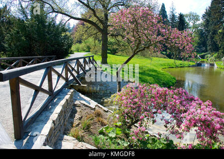 Château et jardins de Pruhonice, près de Prague, la Bohême centrale, la République tchèque, protégée par l'unesco - pring dans le parc, pont au-dessus de la fleuve botic Banque D'Images