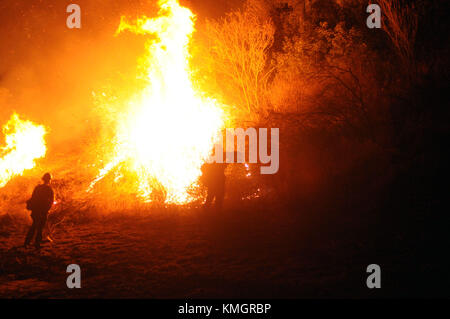 Ojai, Californie, États-Unis. 7 décembre 2017. Les pompiers détenus par CAL Fire allument un feu contrôlé pour voler le feu Thomas de carburant menant à l'extrémité nord du camp Ramah dans l'ouest d'Ojai. Crédit : Neal Waters/ZUMA Wire/Alamy Live News Banque D'Images